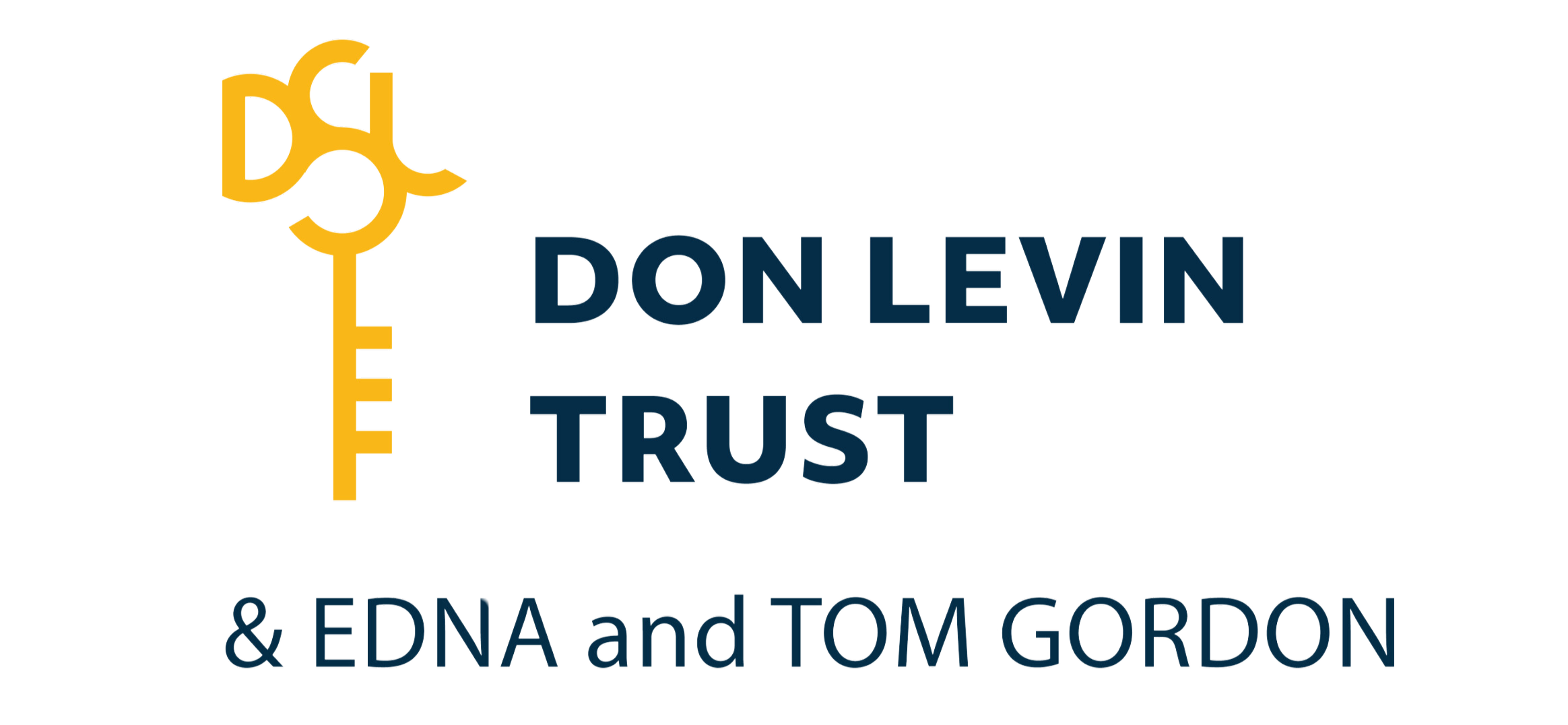 DSL Don Levin Trust logo