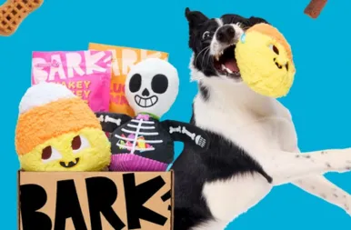 BarkBox