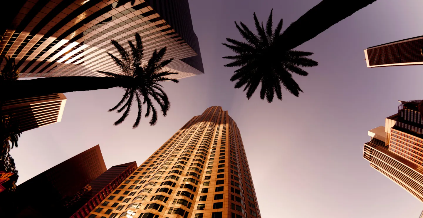 Photo of buildings and palm trees